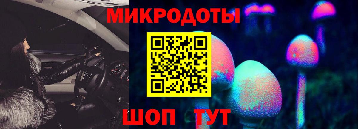 Псилоцибиновые грибы прущие грибы Губкинский